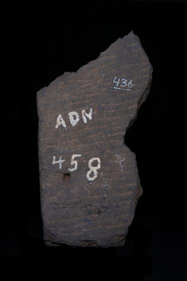 Image of Last Existence: Buddha's Birth