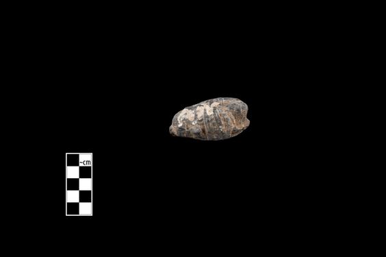 Image of Male figure