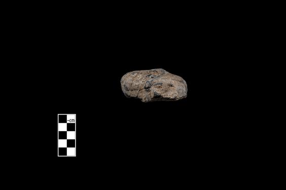 Image of Male figure