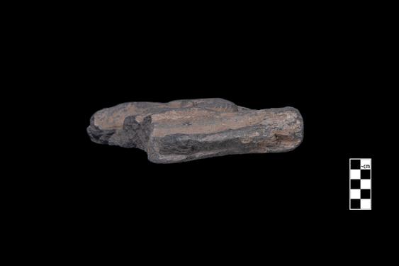 Image of Bodhisattva and devotee