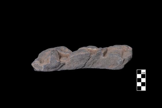 Image of Bodhisattva and devotee