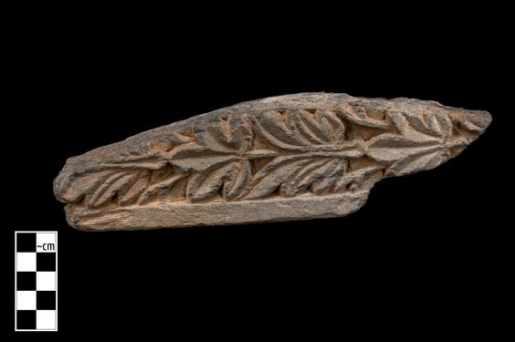 Image of Vine and ivy leaves