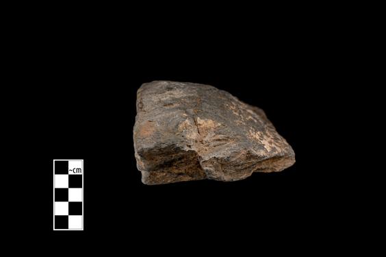 Image of Vine and ivy leaves