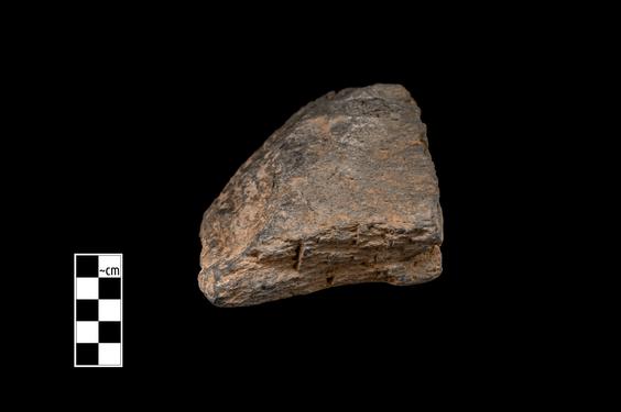 Image of Vine and ivy leaves