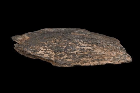 Image of Vine and ivy leaves