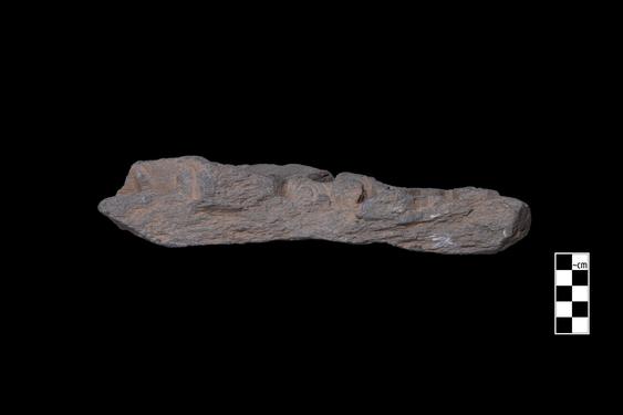 Image of Last Existence: Birth Cycle