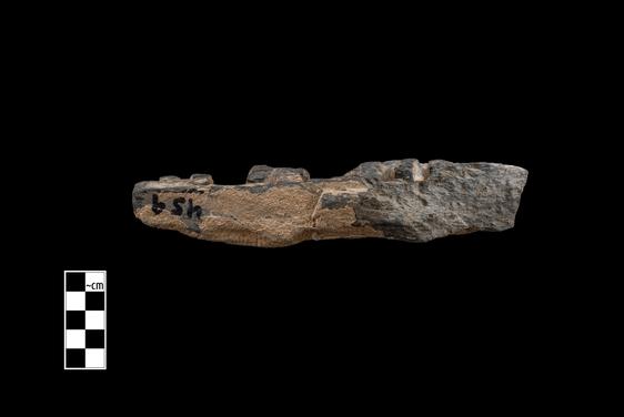 Image of Revelry scene