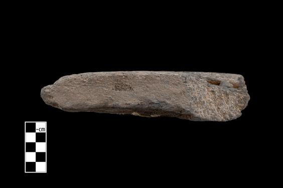 Image of Bodhisattva and donor