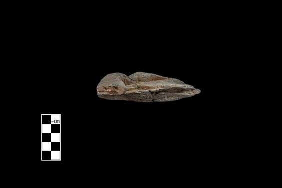 Image of Male figure