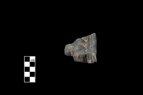 Image of Gandharan-Persepolitan capital