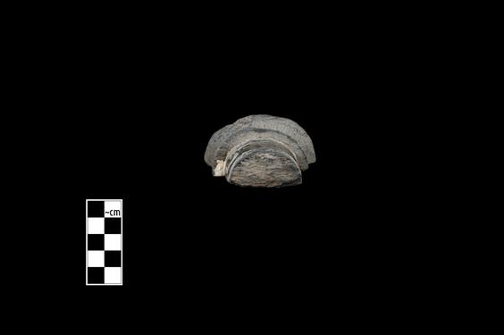 Image of Semi-column of the Gandharan-Persepolitan type