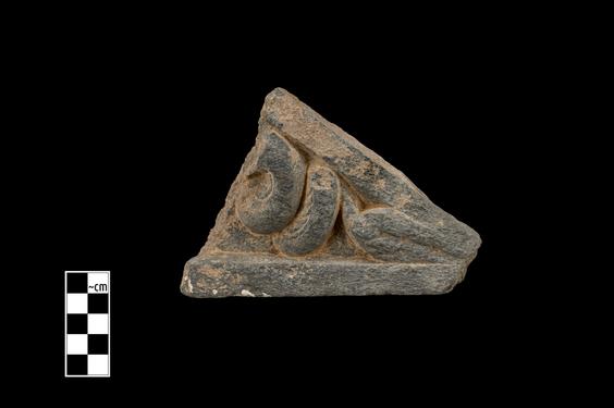 Image of Fantastic animal