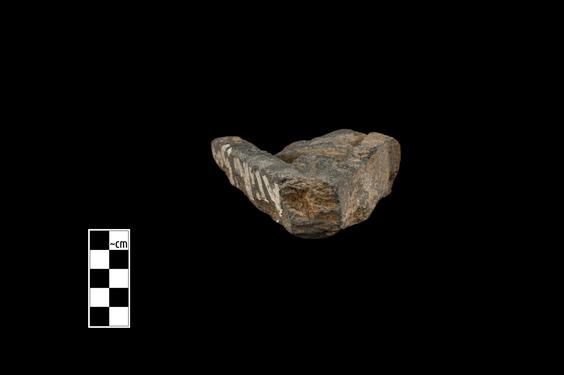 Image of Fantastic animal