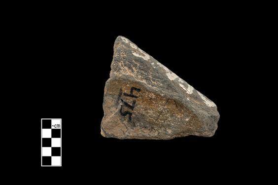 Image of Fantastic animal