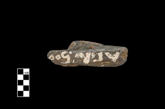 Image of Fantastic animal