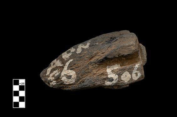 Image of Corner pilaster of the Gandharan-Corinthian type