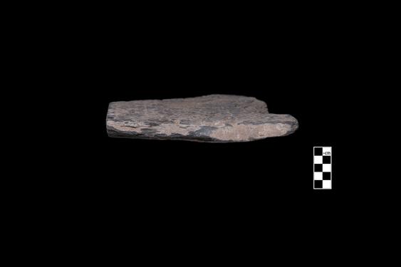 Image of Rosettes, vine scroll, festoon