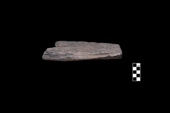 Image of Rosettes, vine scroll, festoon