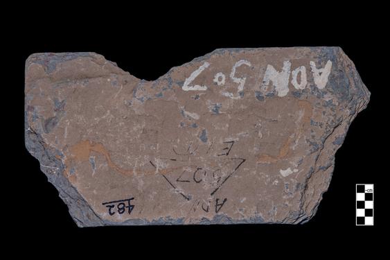 Image of Rosettes, vine scroll, festoon