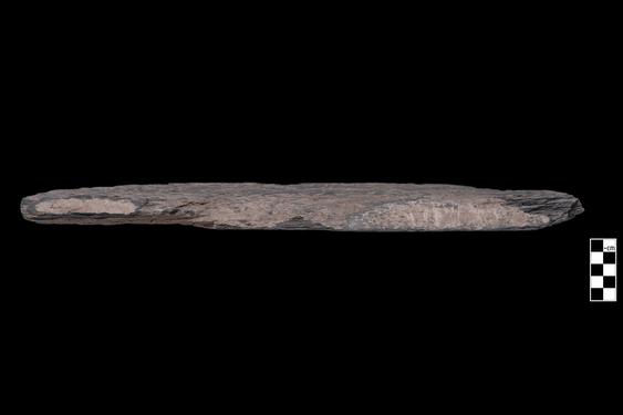 Image of Rosettes, vine scroll, festoon