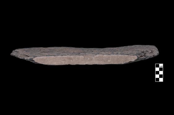 Image of Rosettes, vine scroll, festoon