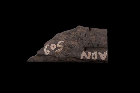 Image of Phytomorphic decorative motifs