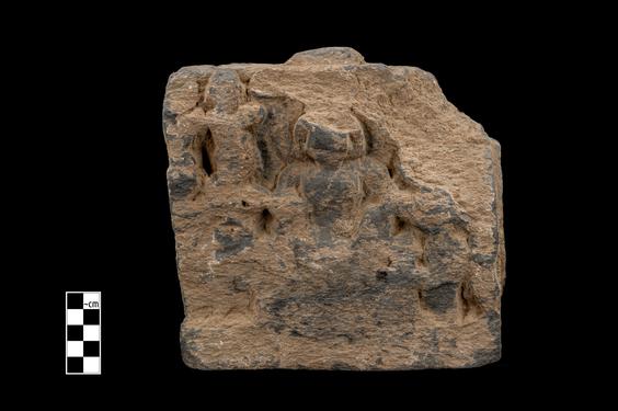 Image of Bodhisattva and devotees