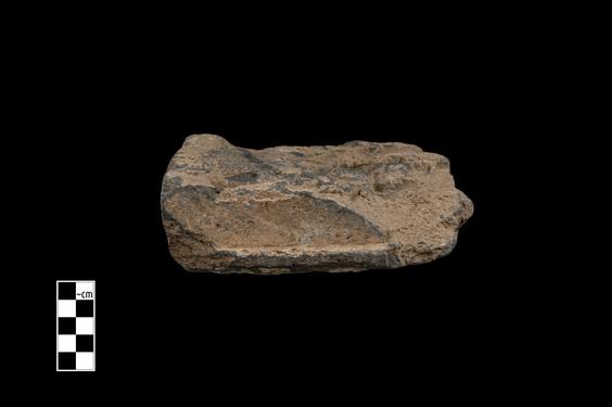 Image of Bodhisattva and devotees