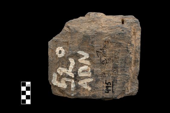 Image of Bodhisattva and devotees