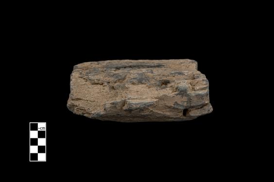 Image of Bodhisattva and devotees