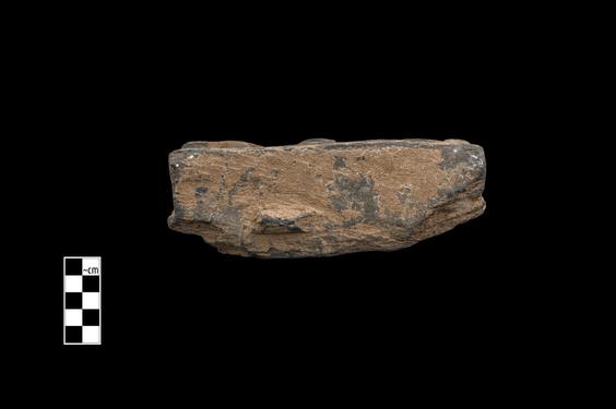 Image of Bodhisattva and devotees