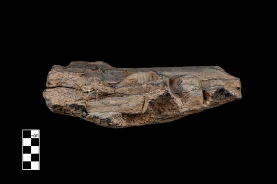 Image of Last Existence: Siddhārtha in school