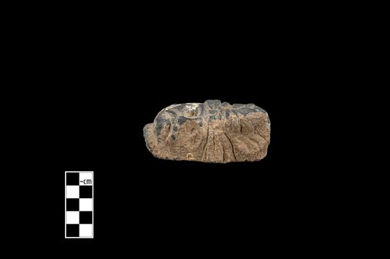 Image of Male figure