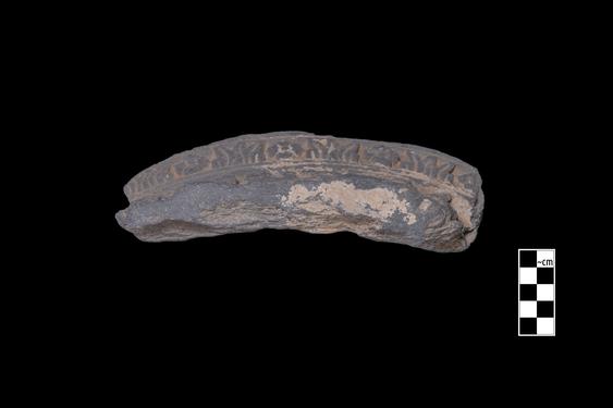 Image of Mundane scenes