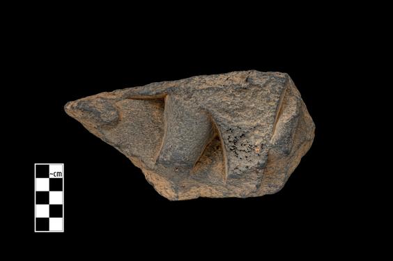 Image of Unidentified