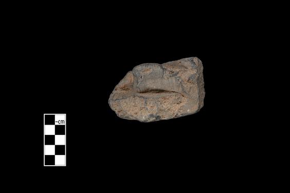 Image of Unidentified