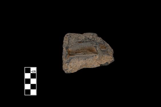 Image of Unidentified