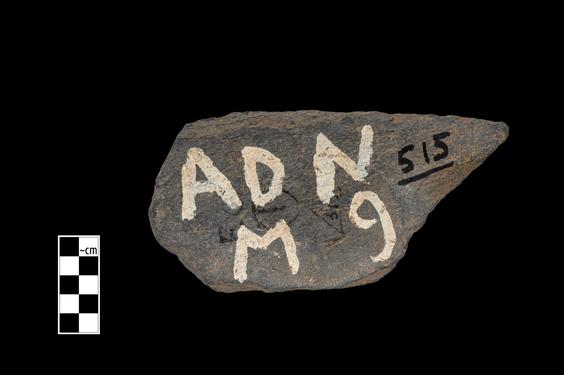 Image of Unidentified