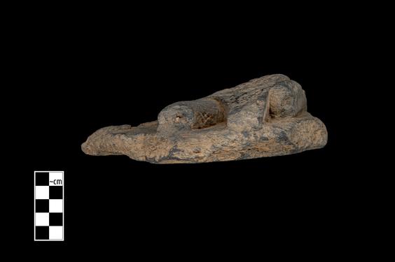 Image of Unidentified