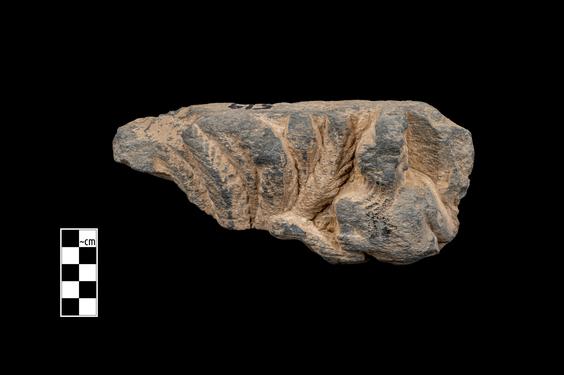 Image of Male figure