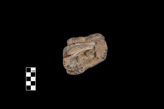 Image of Male figure