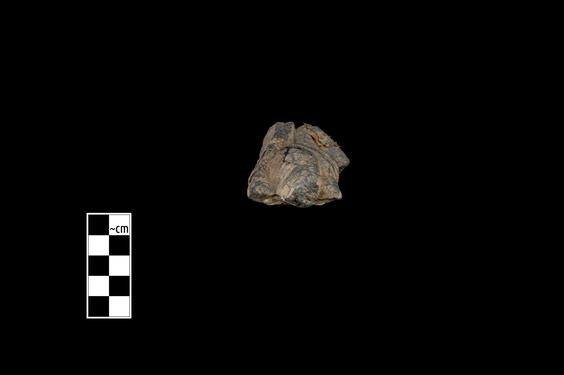 Image of Male figure