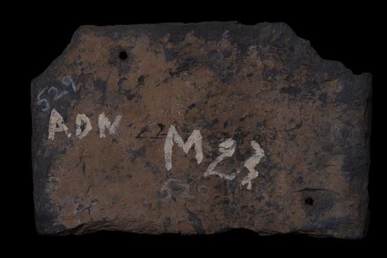 Image of Last Existence: Competitions; Mundane Scene