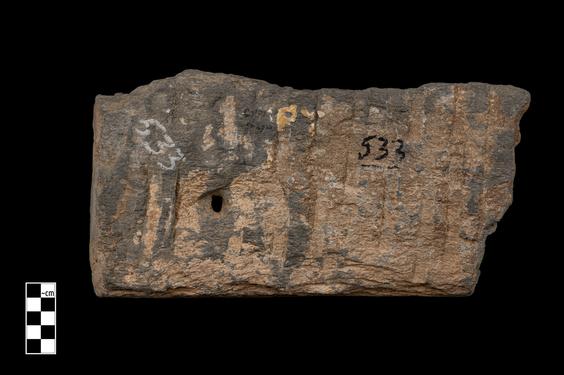 Image of Last Existence: Cutting a Bundle of Reeds