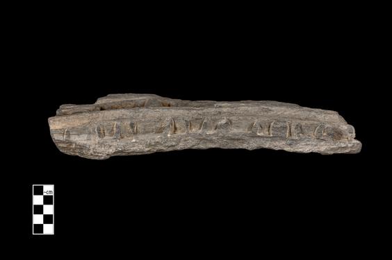 Image of Last Existence: Cutting a Bundle of Reeds