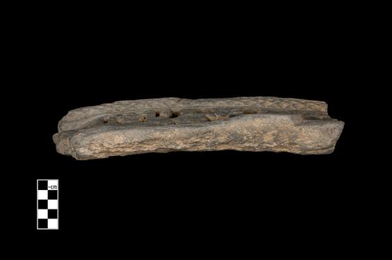 Image of Last Existence: Cutting a Bundle of Reeds