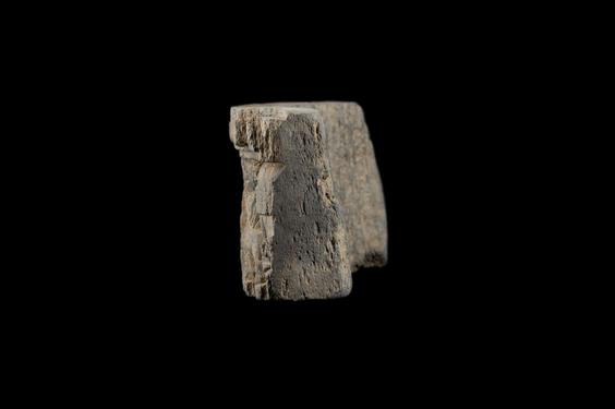 Image of Last Existence: Birth Cycle