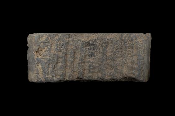 Image of Last Existence: Birth Cycle