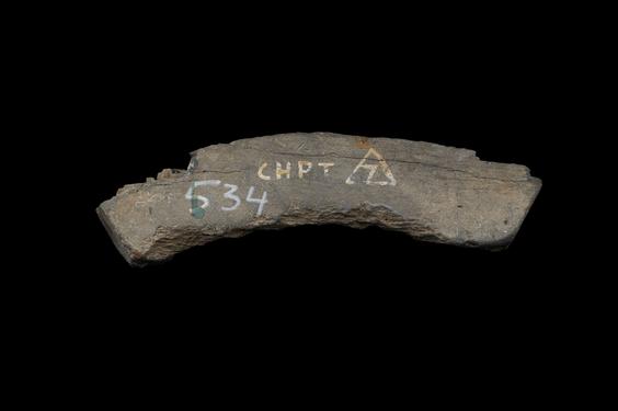 Image of Last Existence: Birth Cycle