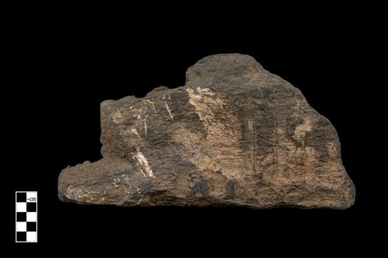 Image of Last Existence: Visit of Indra